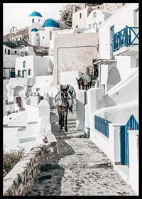Fotografi av åsnor på stenstig bland vita hus i Santorini i Egeiska havet-6