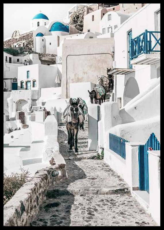 Fotografi av åsnor på stenstig bland vita hus i Santorini i Egeiska havet-12