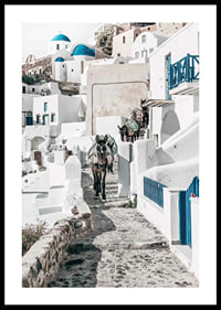 Fotografi av åsnor på stenstig bland vita hus i Santorini i Egeiska havet-0