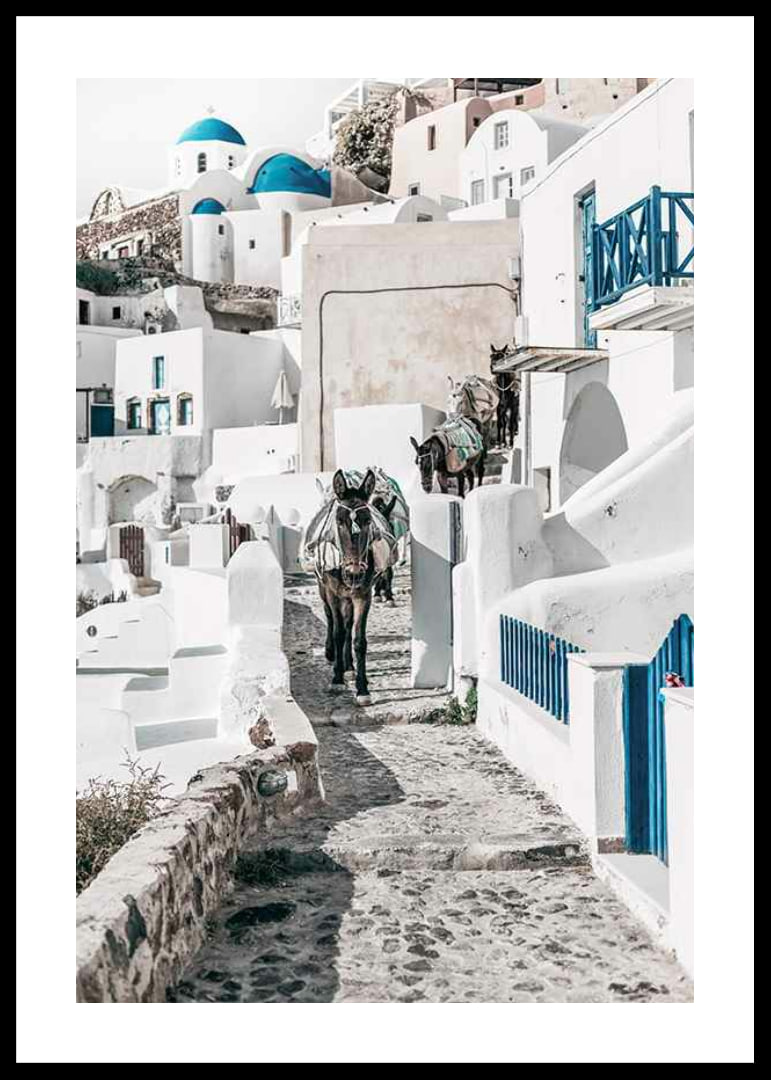 Fotografi av åsnor på stenstig bland vita hus i Santorini i Egeiska havet-12