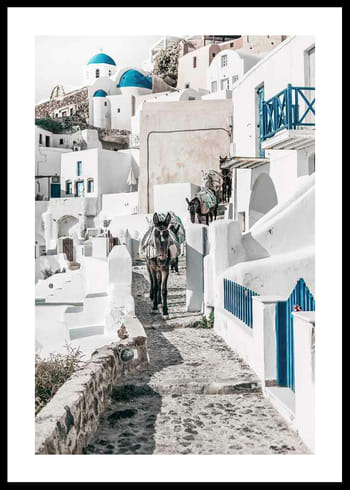 Poster Santorini Island Donkeys