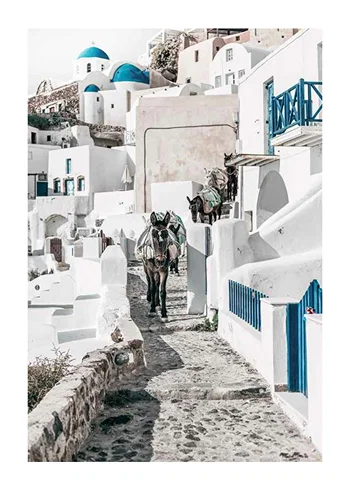 Poster Santorini Island Donkeys