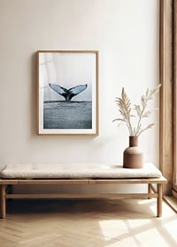 Fotografi av knölvals fena som dyker i stilla hav-8