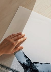Fotografi av knölvals fena som dyker i stilla hav-9