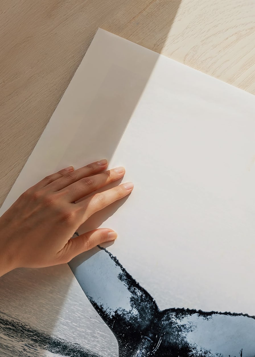 Fotografi av knölvals fena som dyker i stilla hav-12