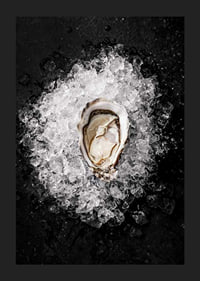 Atidarytos austrės stambus planas ant susmulkinto ledo juodame fone-5