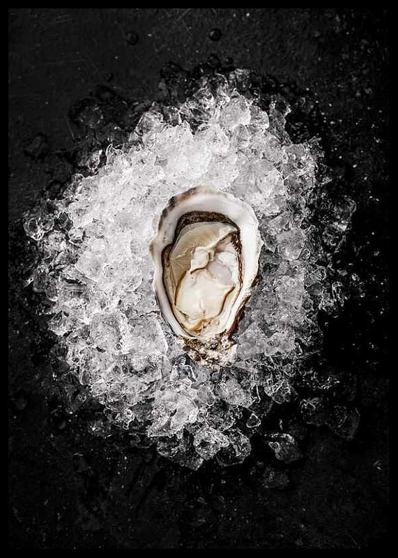 Oyster On Ice-12