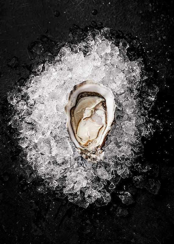 Oyster On Ice-12