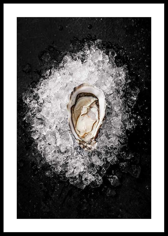 Oyster On Ice-12