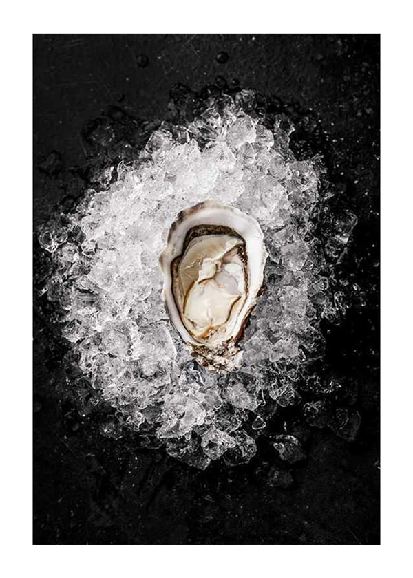 Poster Oyster On Ice
