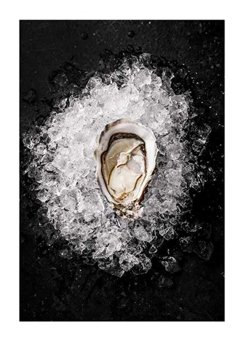 Poster Oyster On Ice