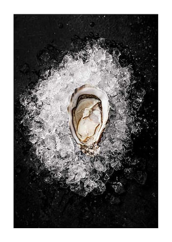 Plakat Oyster On Ice