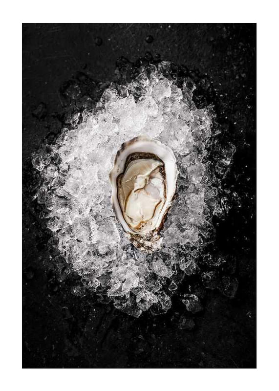 Plagát Oyster On Ice