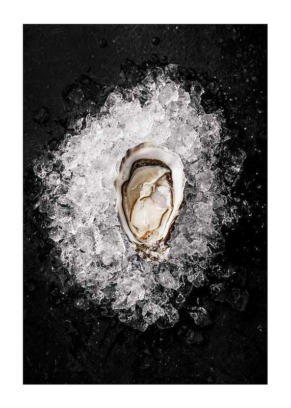 Oyster On Ice-12