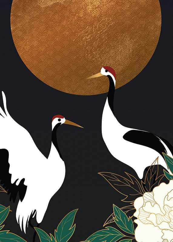 Cranes-12