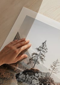 Photograph of small island with trees in mirror-like lake, autumn colors-9