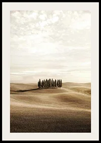 Photograph of cypress trees on rolling fields in beige tones-2