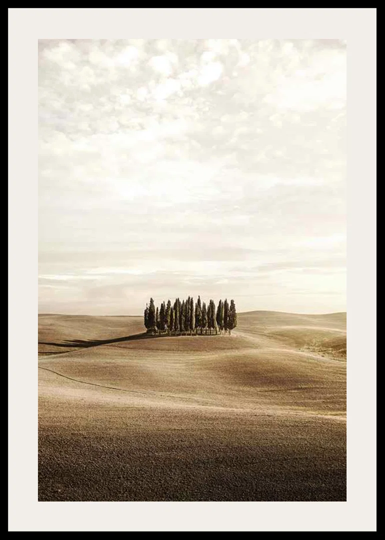 Photograph of cypress trees on rolling fields in beige tones-12