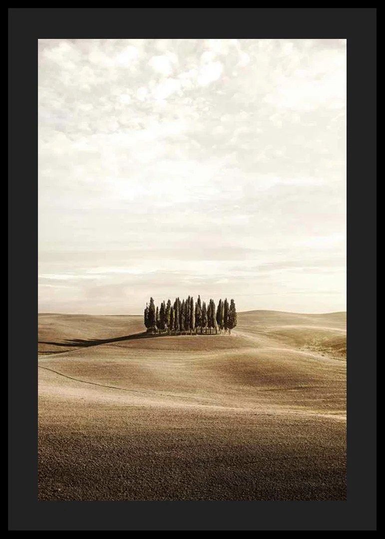 Photograph of cypress trees on rolling fields in beige tones-12