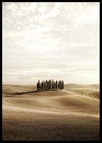 Photograph of cypress trees on rolling fields in beige tones-6