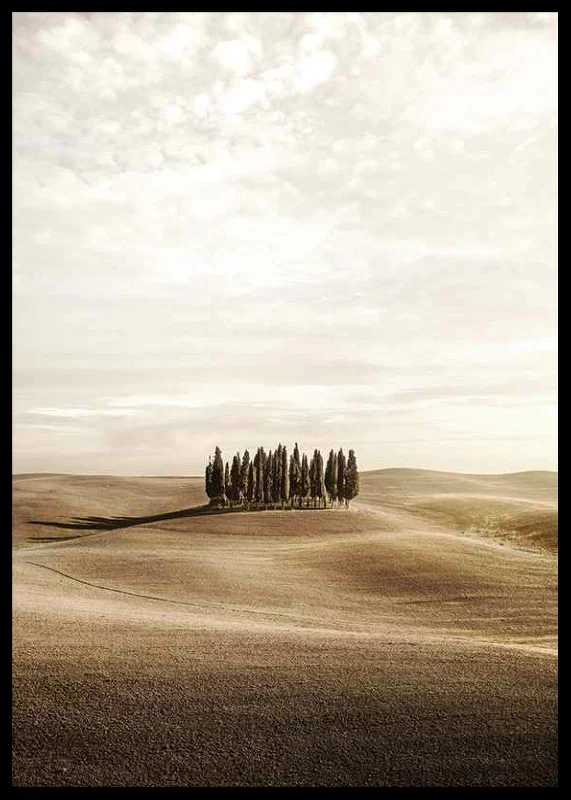 Photograph of cypress trees on rolling fields in beige tones-12