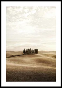 Photograph of cypress trees on rolling fields in beige tones-0