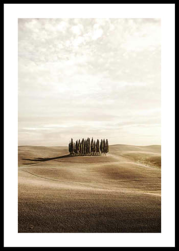 Poster Cypress trees