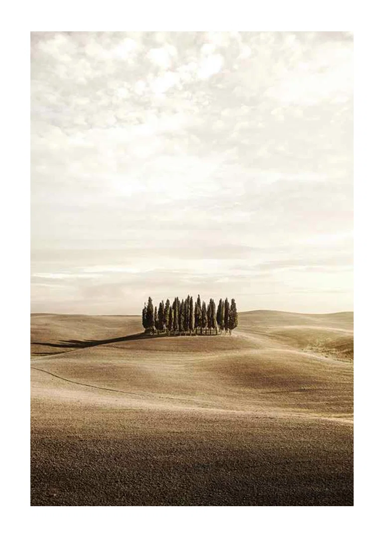 Photograph of cypress trees on rolling fields in beige tones-12