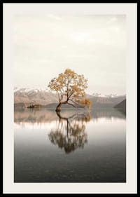 Fotografia di un albero solitario nel lago con montagne innevate sullo sfondo-2