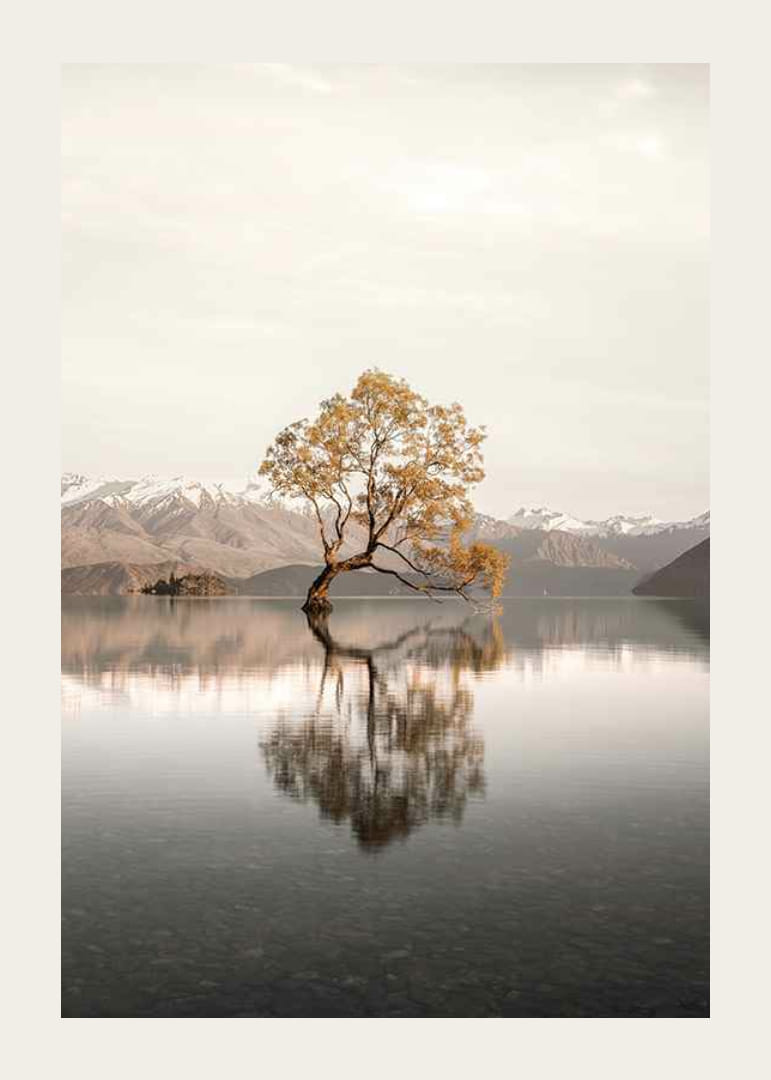 Fotografia di un albero solitario nel lago con montagne innevate sullo sfondo-12