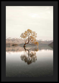 Fotografia di un albero solitario nel lago con montagne innevate sullo sfondo-4