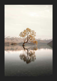 Fotografia di un albero solitario nel lago con montagne innevate sullo sfondo-5