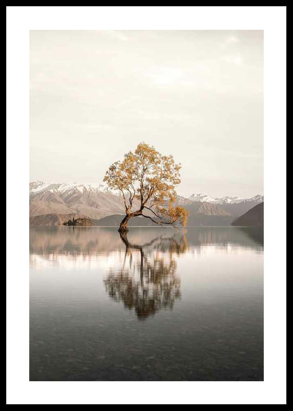 The Lonely Tree-12