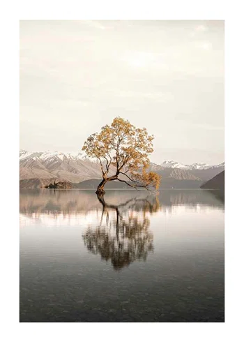 Poster The Lonely Tree