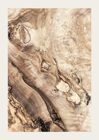 Gros plan sur des motifs en bois dans des tons bruns et beiges doux-3