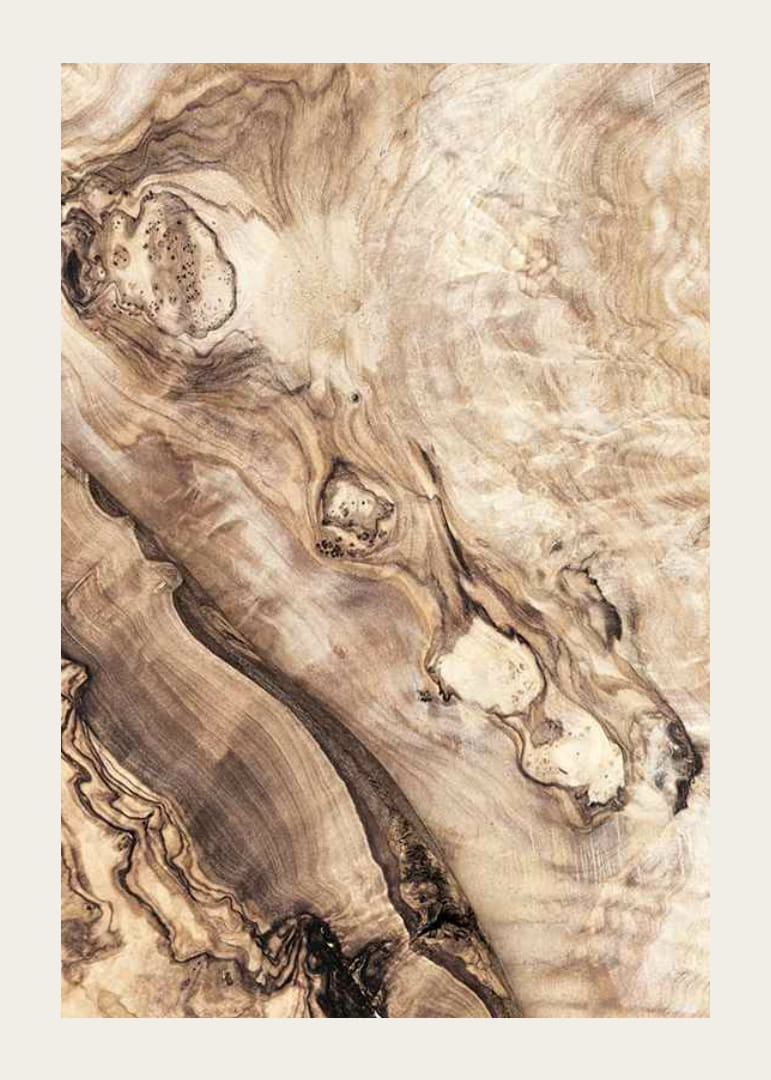 Gros plan sur des motifs en bois dans des tons bruns et beiges doux-12