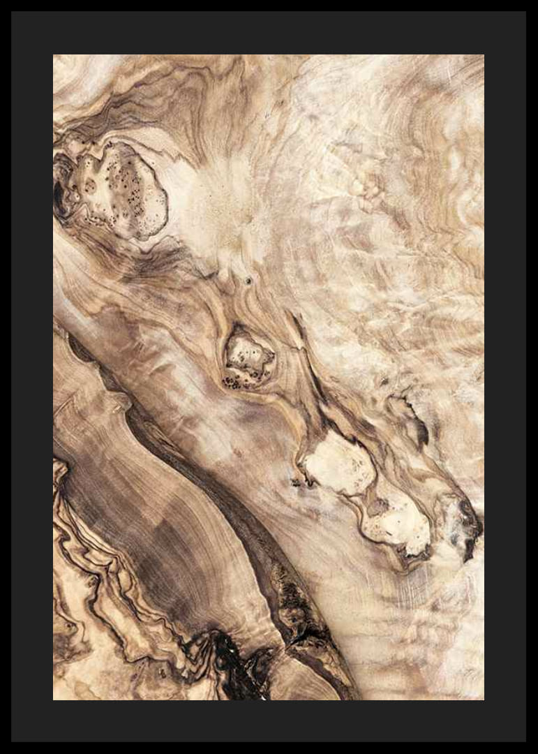 Gros plan sur des motifs en bois dans des tons bruns et beiges doux-12