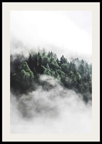 Fotografi av tät granskog insvept i dimma, gröna toner-2