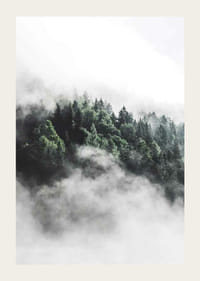 Fotografi av tät granskog insvept i dimma, gröna toner-3