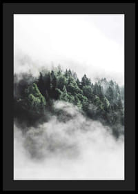 Fotografi av tät granskog insvept i dimma, gröna toner-4