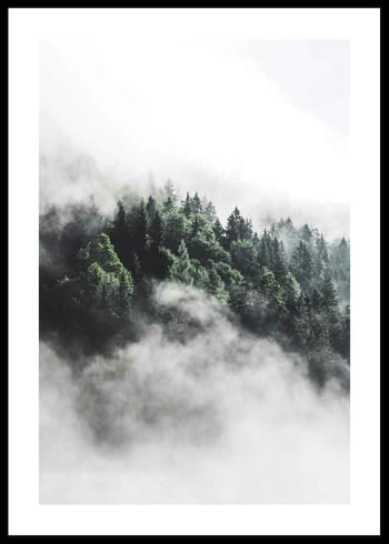 Plagát Forest In Mist