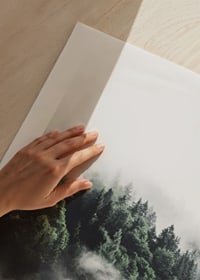 Foto eines dichten, in Nebel gehüllten Fichtenwaldes, Grüntöne-9