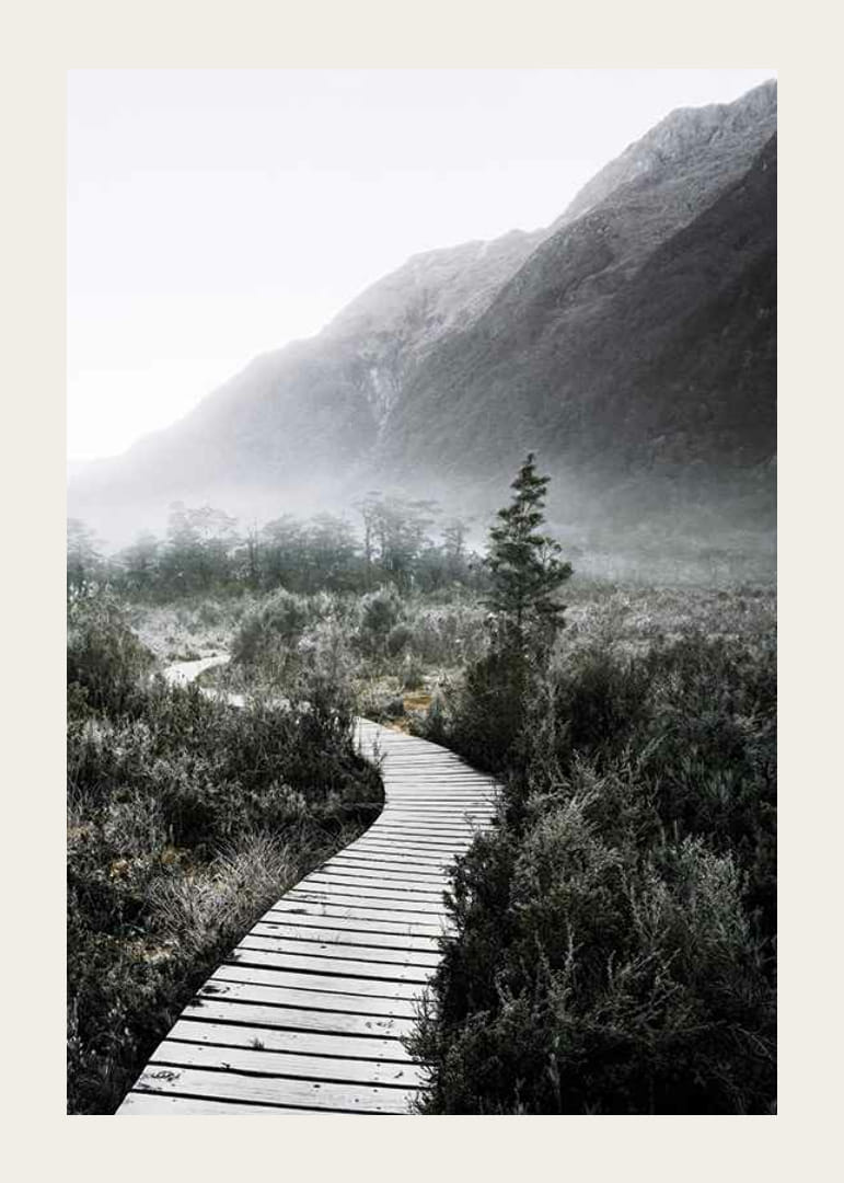 Photographie d'une passerelle sinueuse à travers un paysage brumeux-12