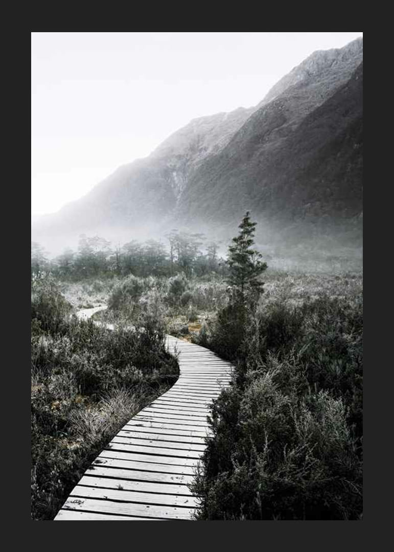 Photographie d'une passerelle sinueuse à travers un paysage brumeux-12