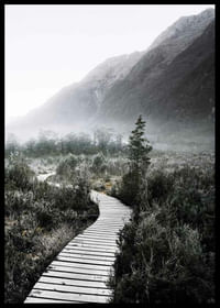 Boardwalk New Zealand-2