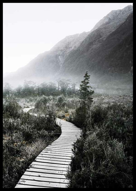 Boardwalk New Zealand-12