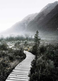Boardwalk New Zealand-3
