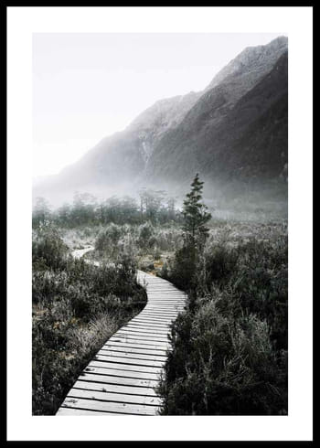 Plakāts Boardwalk New Zealand