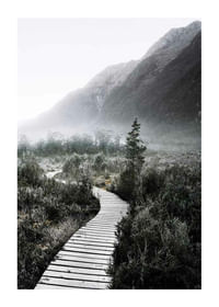 Boardwalk New Zealand-1