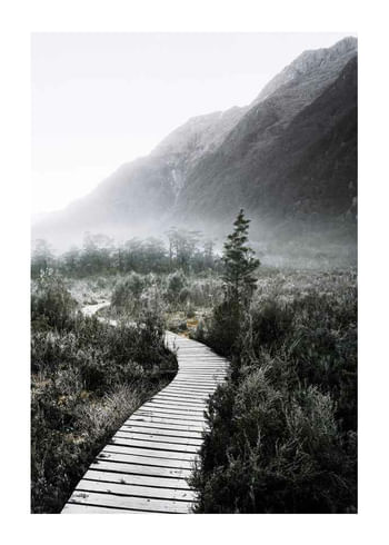 Plagát Boardwalk New Zealand